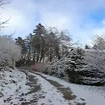 アパート Feriendorf Reinskopf In Der Eifel Schönecken