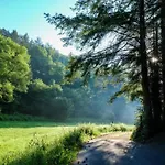 アパート Feriendorf Reinskopf In Der Eifel Schönecken