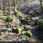 Feriendorf Reinskopf In Der Eifel * Schönecken