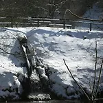 アパート Feriendorf Reinskopf In Der Eifel Schönecken