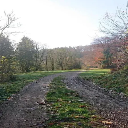 公寓 Feriendorf Reinskopf In Der Eifel
