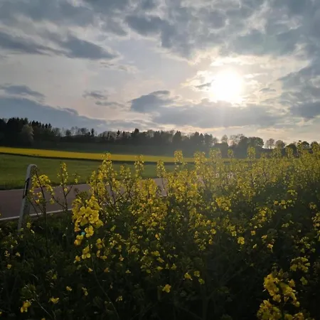 Apartmán In Reinskopf With Fireplace & Balcony Schönecken