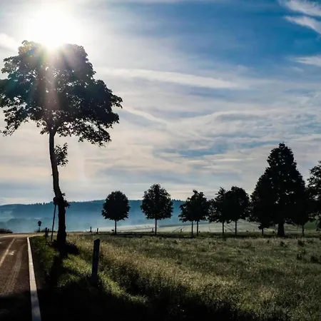 Feriendorf Reinskopf In Der Eifel *