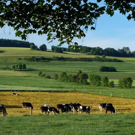 In Reinskopf With Fireplace & Balcony Apartment Schonecken