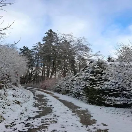 Apartment In Reinskopf With Fireplace & Balcony Schonecken