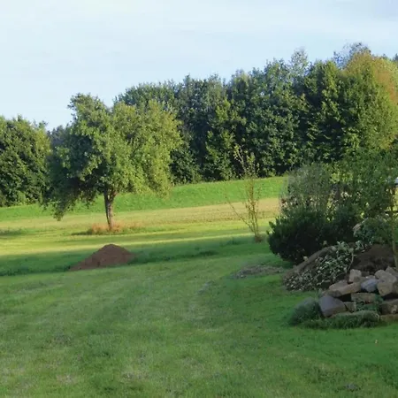 In Reinskopf With Fireplace & Balcony