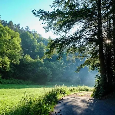Apartment In Reinskopf With Fireplace & Balcony Schonecken
