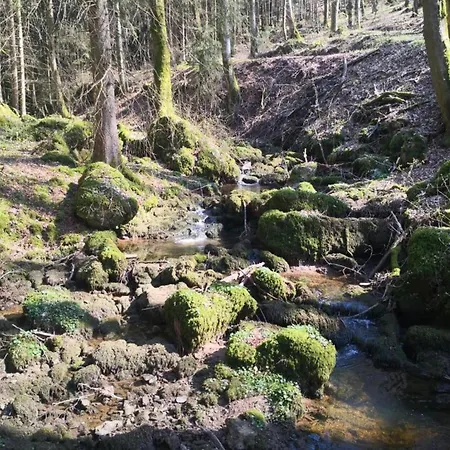 In Reinskopf With Fireplace & Balcony * Schonecken