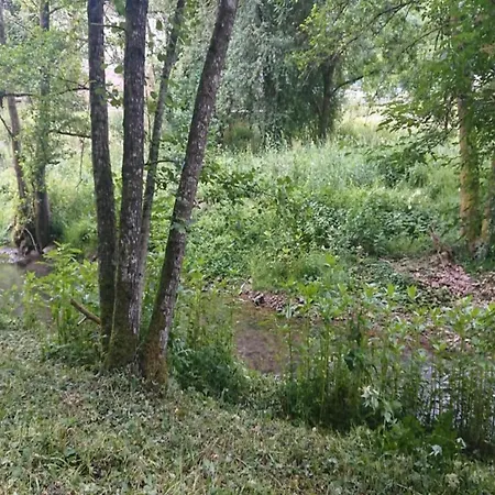 Lägenhet Well-kept Apartment, Located In A Wooded Area