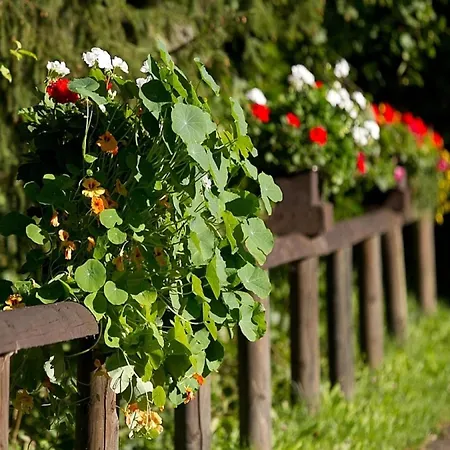 In Reinskopf With Fireplace & Balcony