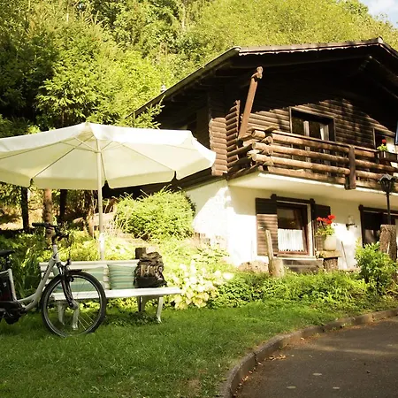 Apartment Well-kept Apartment, Located In A Wooded Area Schonecken