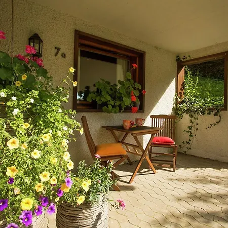 In Reinskopf With Fireplace & Balcony Apartamento