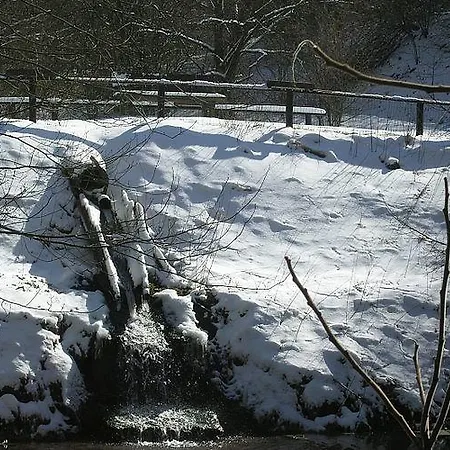 Well-kept Apartment, Located In A Wooded Area Lägenhet *