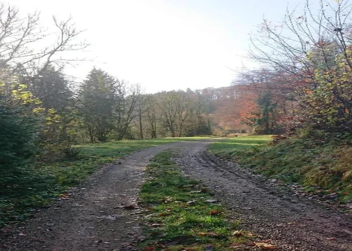 公寓 Feriendorf Reinskopf In Der Eifel