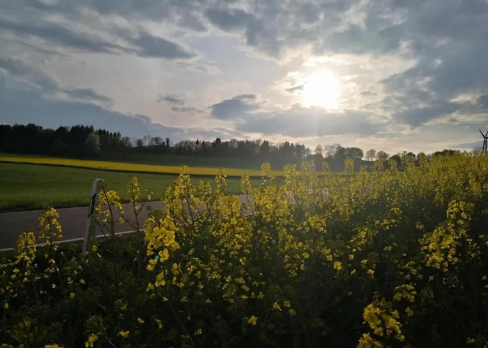 公寓 Feriendorf Reinskopf In Der Eifel Schönecken