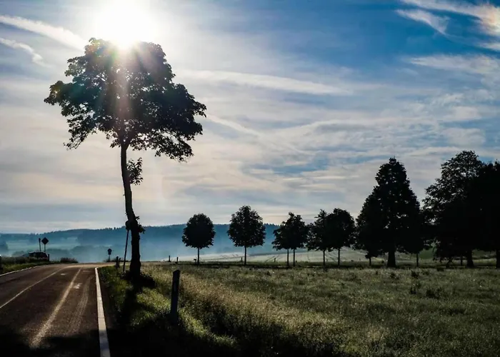 Feriendorf Reinskopf In Der Eifel *