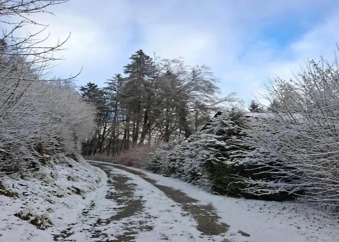 公寓 Feriendorf Reinskopf In Der Eifel Schönecken