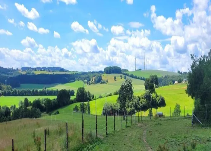 Feriendorf Reinskopf In Der Eifel Schönecken