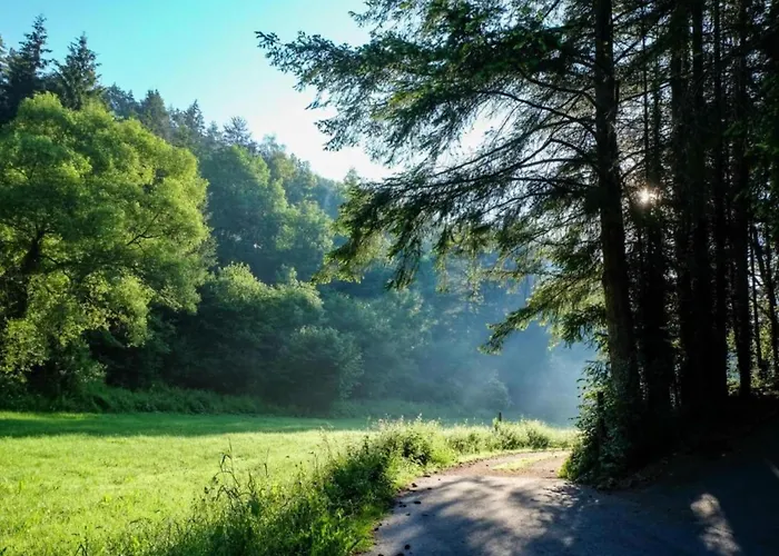 公寓 Feriendorf Reinskopf In Der Eifel Schönecken