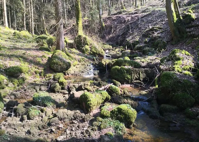 Feriendorf Reinskopf In Der Eifel * Schönecken