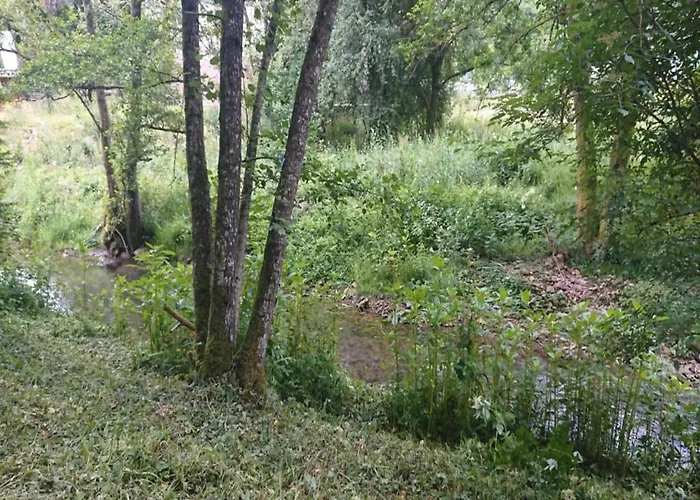 公寓 Feriendorf Reinskopf In Der Eifel