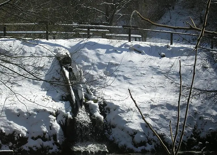 公寓 Feriendorf Reinskopf In Der Eifel Schönecken