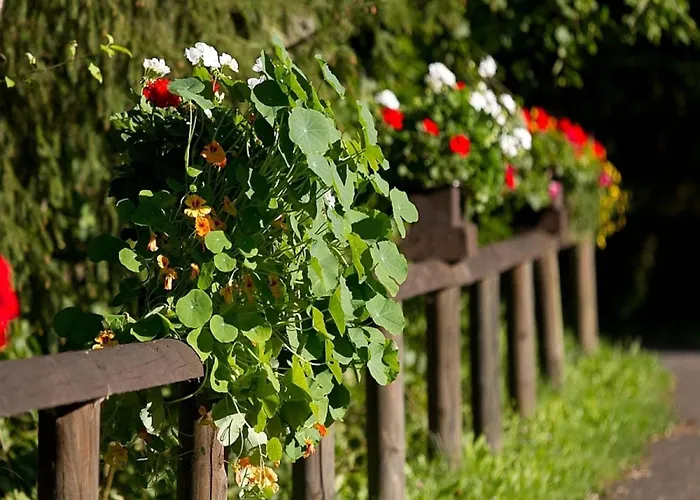 Feriendorf Reinskopf In Der Eifel